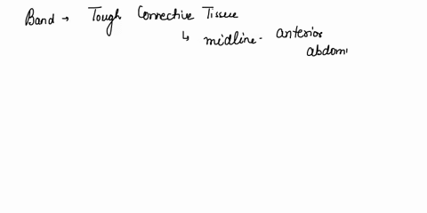 label-the-deep-back-muscles-of-a-cadaver-laboratory-namo-assessment-date-section-24-found-at-the-beginning-of-the-laboratory-exercise-part-aassessments-teres-major-s-dorsi-cut-external-obliq-38497