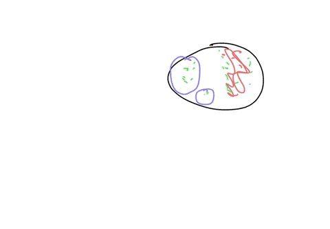 when-choosing-bacterial-colony-from-an-preparation-why-is-agar-plate-for-further-inoculation-andor-slide-important-to-choose-closely-clustered-wcll-isolated-colony-as-opposed-to-t0-other-col-85462