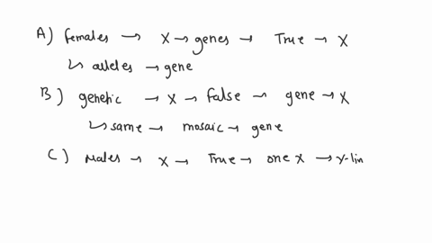 17-which-of-the-following-false-about-barr-bodies-mamals-females-are-genetic-mosaics-for-heterozygous-x-linked-genes-females-are-genetic-mosaies-for-homozy-eous-x-linked-genes-males-are-gene-28621
