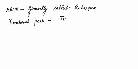 which-of-the-following-statements-is-falsegroup-of-answer-choices-translation-consists-of-initiation-elongation-and-termination-rrna-of-the-large-ribosomal-subunit-is-also-called-ribozyme-du-85801