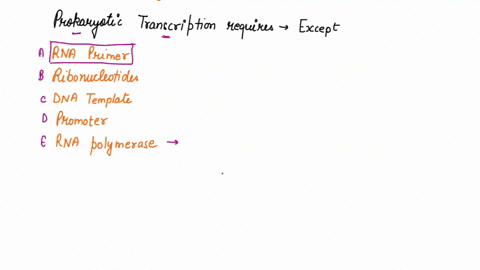 all-of-the-following-are-required-for-prokaryotic-transcription-except-a-rna-primers-b-ribonucleotides-ntps-c-dna-template-d-promoter-e-rna-polymerase-88421