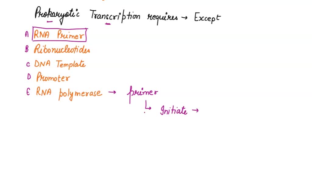 SOLVED RNA polymerase does not need a to copy a DNA template. A. rNTPs