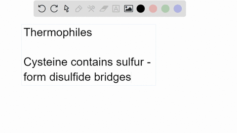 in-your-thermophilic-organism-you-look-at-the-amino-acid-sequence-of-your-enzyme-of-interest-and-are-surprised-to-see-a-higher-than-normal-number-of-cysteines-in-the-primary-sequence-of-the-21898