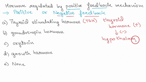 which-of-the-following-hormones-is-regulated-by-positive-feedback-mechanisms-a-thyroid-stimulating-h-60514