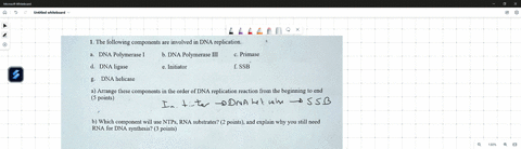 1-the-following-components-are-involved-in-dna-replication-dna-polymerase-b-dna-polymerase-iii-cprimase-dna-ligase-initiator-f-ssb-dna-helicase-arrange-these-components-in-the-order-of-dna-r-02166