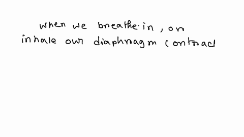 which-of-the-following-statements-concerning-respiratory-system-is-true-a-the-lungs-inflate-because-the-chest-expands-b-the-chest-expands-because-the-lungs-inflate-c-inhalation-occurs-due-to-59236