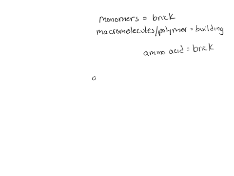 essential-amino-acids-are-monomers-required-to-make-a-lipids-b-proteins-c-glycogen-d-carbohydrates-e-dna