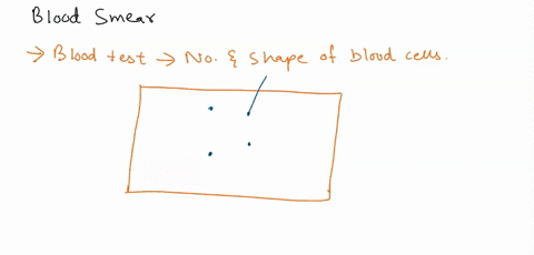 what-is-your-observation-for-the-blood-smear-of-patient-3-a-there-are-no-abnormalities-visible-b-platelets-appear-abnormally-shaped-c-white-blood-cells-appear-abnormally-shaped-d-red-blood-c-60363