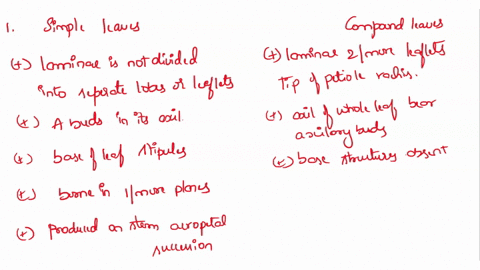 please-answer-following-questions-explain-the-presence-or-absence-of-the-following-structures-in-all-plant-groups-spores-waxy-cuticle-true-stomata-vascular-tissue-xylem-and-phloem-leaves-roo-57968