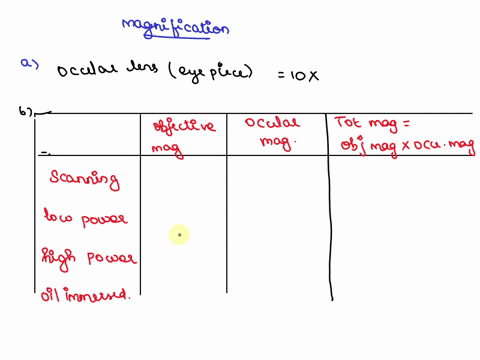 magnification-is-the-process-of-enlarging-the-appearance-of-an-objectwe-calculate-the-magnification-of-an-object-by-indicating-the-fold-change-in-size-so-if-something-appears-to-be-double-th-55315