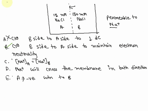 the-attached-diagram-quiz13-2-figurejpg-shows-a-chamber-in-which-two-aqueous-solutions-of-nacl-are-separated-by-a-membrane-dashed-line-that-is-permeable-only-to-na-ions-when-this-system-come-63007