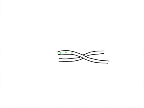 in-order-to-form-a-cross-bridge-in-skeletal-muscle-sarcomeres-calcium-must-bind-to-____-and-shift-____-away-from-the-binding-site-group-of-answer-choices-tropomyosin-troponin-troponin-tropom-04828