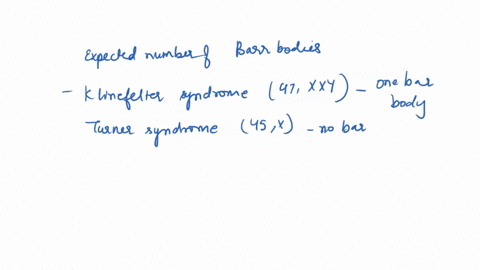 indicate-the-expected-number-of-barr-bodies-in-interphase-cells-of-individuals-with-klinefelter-sy-3-64323