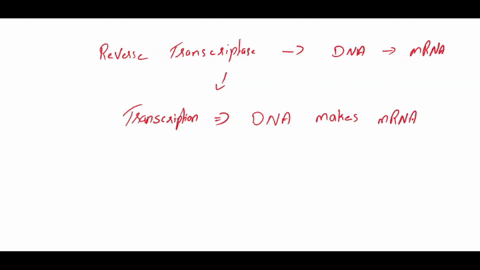 why-is-it-necessary-to-use-reverse-transcriptase-to-create-dna-from-an-mrna-transcript-when-isolating-a-gene-of-interest-from-a-eukaryotic-cell-why-not-use-eukaryotic-dna-directly-11336