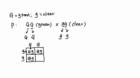 im-so-confused-by-this-please-explain-punnett-squaresreginald-punnett-was-a-british-geneticist-who-developed-the-punnett-square-to-explain-how-the-chromosomes-of-parents-cross-and-produce-of-45317