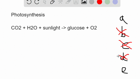 the-oxygen-produced-during-photosynthesis-comes-from-carbon-dioxide-carbohydrates-nadph-and-atp-the-air-the-plant-takes-in-water-68255