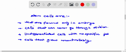 stem-cells-are-cells-that-can-only-be-found-in-embryos-cells-that-never-go-through-division-undifferentiated-cells-with-no-specific-job-cells-that-grow-uncontrollably-21064