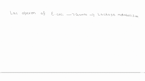 draw-and-describe-the-regulation-of-the-escherichia-coli-lac-operon-in-the-following-situations-1-in-the-absence-of-lactose-disregard-presence-or-absence-of-glucose-2-in-the-presence-of-lact-14208
