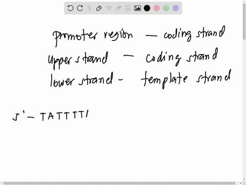 given-the-following-dna-what-would-be-the-mrna-produced-during-transcription-the-1is-highlighted-green-ataaaattcagcgcgtgtaccgaggatctgaucccagaacteataicacaacgggttaattacggctcacattiat-5-tattttaa-62206