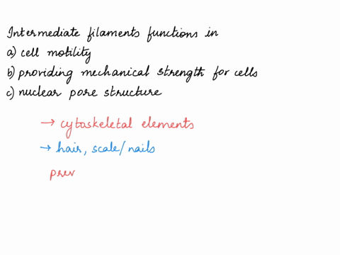 intermediate-filaments-function-in-answers-a-cell-motility-b-providing-mechanical-strength-for-cells-c-nuclear-pore-structure-85184