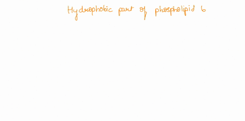 the-hydrophobic-part-of-the-phospholipid-bilayer-in-the-cell-membrane-is-located-towards-the-interior-of-the-membrane-select-one-true-false-44297