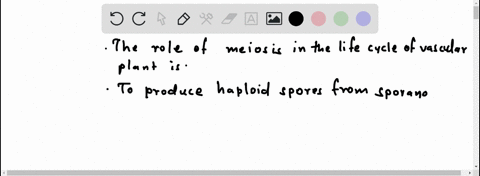 describe-the-role-of-meiosis-in-the-life-cycle-of-a-vascular-plant-3-44482