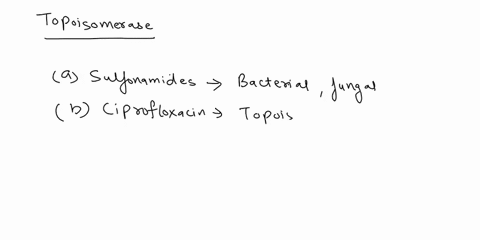 question-1-15-points-interferes-with-topoisomerases-gyrase-and-dna-replication-a-sulfonamides-b-ciprofloxacin-polymixin-b-lincosamides-e-rifamycin-40617