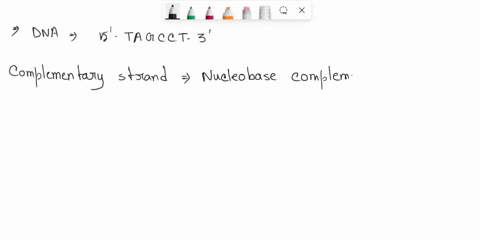 if-the-sequence-of-bases-in-one-strand-of-dna-is-5-tagcct-3-then-the-sequence-0f-bases-in-the-other-strand-will-be-1-3-tccgat-5-2-3atcgga-5-3-3tagcct-5-3aacggua-5-48285