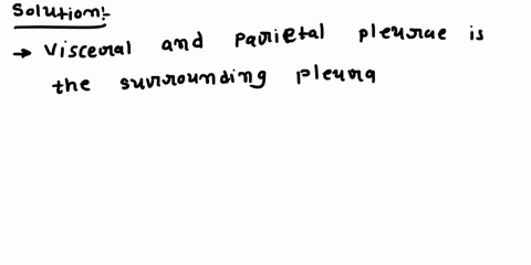 the-pleura-that-surrounds-the-lungs-consists-of-two-layers-the-______-a-visceral-and-parietal-pleura-74448