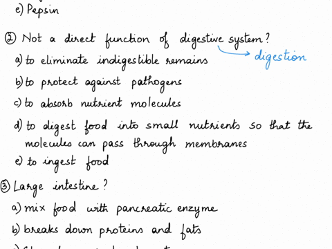 1the-thick-soupy-liquid-of-partially-digested-food-that-leaves-the-stomach-is-called-abolus-blipase-clacteal-dchyme-epepsin-2which-of-the-following-is-not-a-direct-function-of-the-digestive-80545