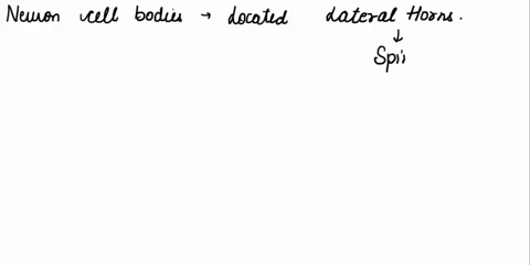 check-all-that-are-true-statements-regarding-the-anatomy-and-structure-of-the-sympathetic-divisioncheck-all-that-apply-the-neuron-cell-bodies-are-located-in-the-lateral-horns-of-their-spinal-97496