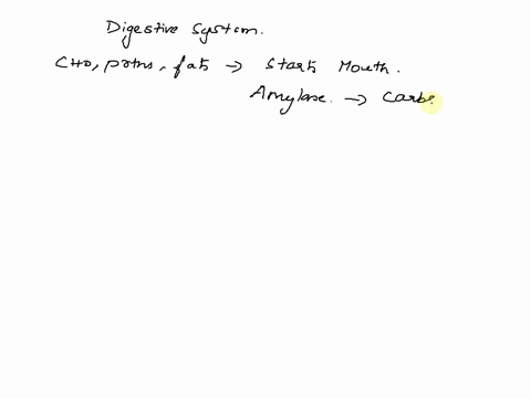which-statement-best-describes-the-breakdown-of-food-in-the-digestive-system-carbohydrate-digestion-starts-in-the-stomach-and-protein-digestion-starts-in-the-stomach-carbohydrate-digestion-s-12917