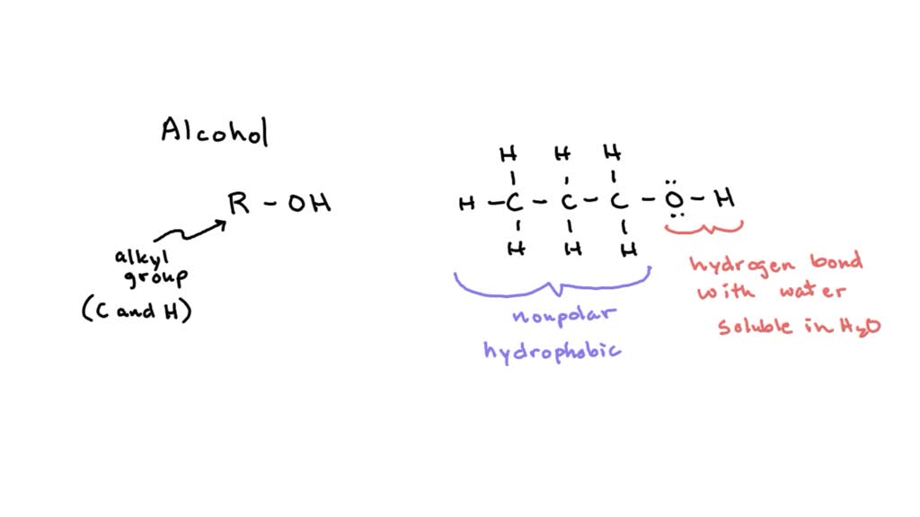 SOLVED: Focusing on alcohols, how does solubility changes when the size ...