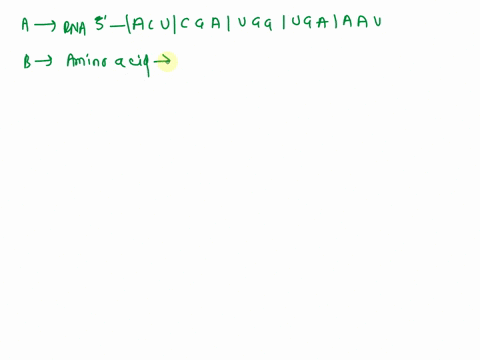 given-below-are-the-complimentary-strands-of-dna-with-the-genetic-sequences-dna-5-strand-dna-3-strand-in-the-following-spaces-fill-in-the-blanks-to-complete-the-appropriate-rna-sequence-of-c-77354