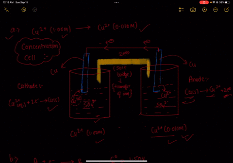 concentration-cell-based-on-the-aqueous-reaction-cu100-m-cu-00100-m-the-cell-consists-of-copper-electrodes-dipping-into-solutions-of-cuz-ions-the-anions-present-are-sulfate-ons_-draw-neat-da-27411
