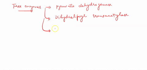is-the-following-statement-true-or-false-mutation-that-inactivates-the-pyruvate-dehydrogenase-complex-will-most-likely-prevent-the-conversion-of-pyruvate-into-acetyl-coa-but-have-no-effect-o-66965