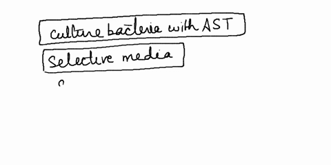 microbiology-4234-lab-practicum-directlons-you-are-to-determine-each-of-the-followlng-for-the-hypothetical-microbiology-laboratory-cases-and-be-sure-to-include-the-following-laboratory-proce-78434