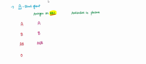 a-person-with-type-a-blood-has-a-anti-a-antibodies-in-the-plasma-b-b-antigens-in-the-plasma-c-a-antigens-on-red-blood-cells-d-anti-b-antibodies-on-red-blood-cells-92596