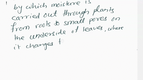 transpiration-is-the-process-by-which-moisture-is-carried-through-plants-from-roots-to-small-pores-on-the-underside-of-leaves-where-it-changes-to-vapor-and-is-released-to-the-atmosphere-tran-18527