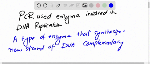 pcr-uses-only-one-of-the-enzymes-and-proteins-involved-in-dna-replication-explain-how-the-functions-of-the-following-proteins-have-been-replaced-in-pcr-its-possible-that-the-equivalent-funct-26736