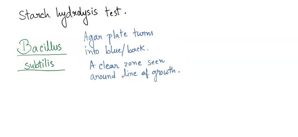 SOLVED: 3) Two bacterial strains, Bacillus subtilis (A, B) and E: coli ...