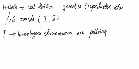 which-of-the-following-does-not-contribute-to-genetic-variation-a-the-events-of-meiosis-i-b-the-events-of-meiosis-ii-c-independent-assortment-d-crossing-over-92047