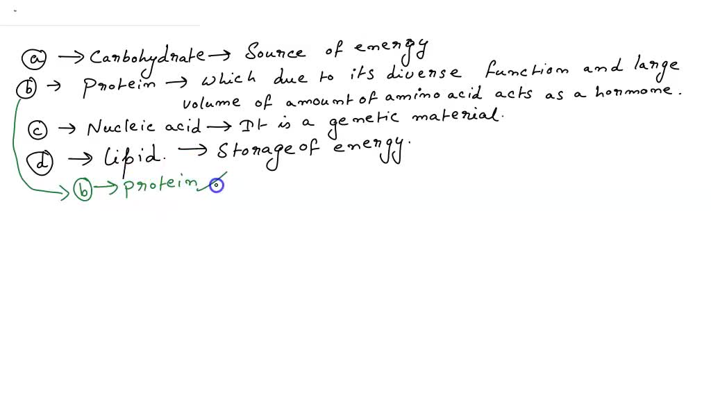 SOLVED EASY BIO QUESTION 15 PTS WILL MARK BRAINLIEST Which is the best