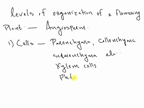 what-are-the-levels-of-organization-of-a-flowering-plant-33192