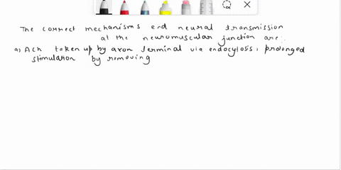 which-of-the-following-isare-mechanisms-to-end-neural-transmission-at-the-neuromuscular-junction-select-all-the-correct-answers-a-ach-is-taken-up-by-the-axon-terminal-via-endocytosis-b-ach-d-45448