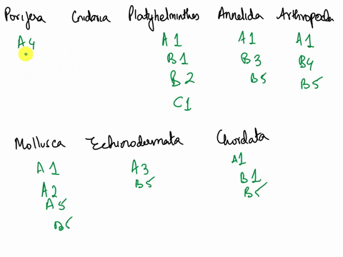 table-1-phylum-characteristics-table-bilateral-phylum-most-have-calcium-specialized-cell-five-part-symmetry-with-segmentation-containing-shell-but-no-tissues-mantle-of-tissue-covering-the-bo-41858