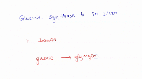 8-which-substance-activates-glycogen-synthase-b-in-liver-i-know-the-answer-is-d-but-need-it-explained-to-me-a-glucagon-b-insulin-c-glucose-6-phosphate-d-both-insulin-and-glucose-6-phosphate-35428
