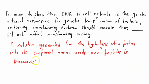 in-order-to-show-that-dna-in-cell-extracts-is-the-genetic-material-responsible-for-genetic-transformation-of-bacteria-important-corroborating-evidence-should-indicate-that-_______-did-not-af-85482