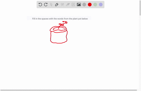 fill-in-the-spaces-with-the-words-from-the-plant-pot-below-69603