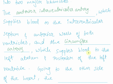 activity-11coronarycardiac-circuit-of-blood-vessels-fill-in-the-blank-fill-in-the-blanks-using-the-terms-list-and-your-textbooks-right-marginal-artery-circumflex-arteryanterior-interventricu-15144